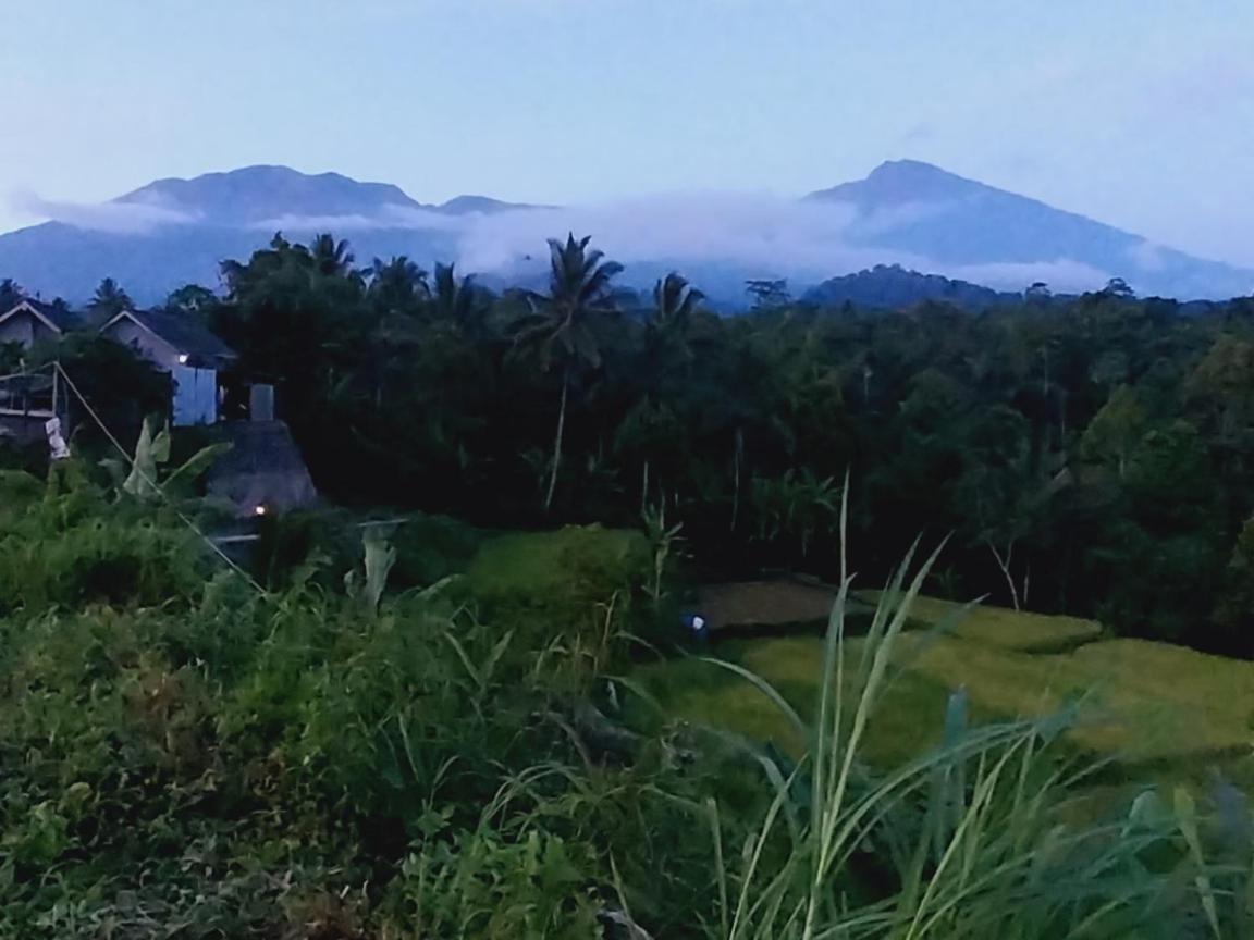 Raturinjani Homestay Selong ภายนอก รูปภาพ