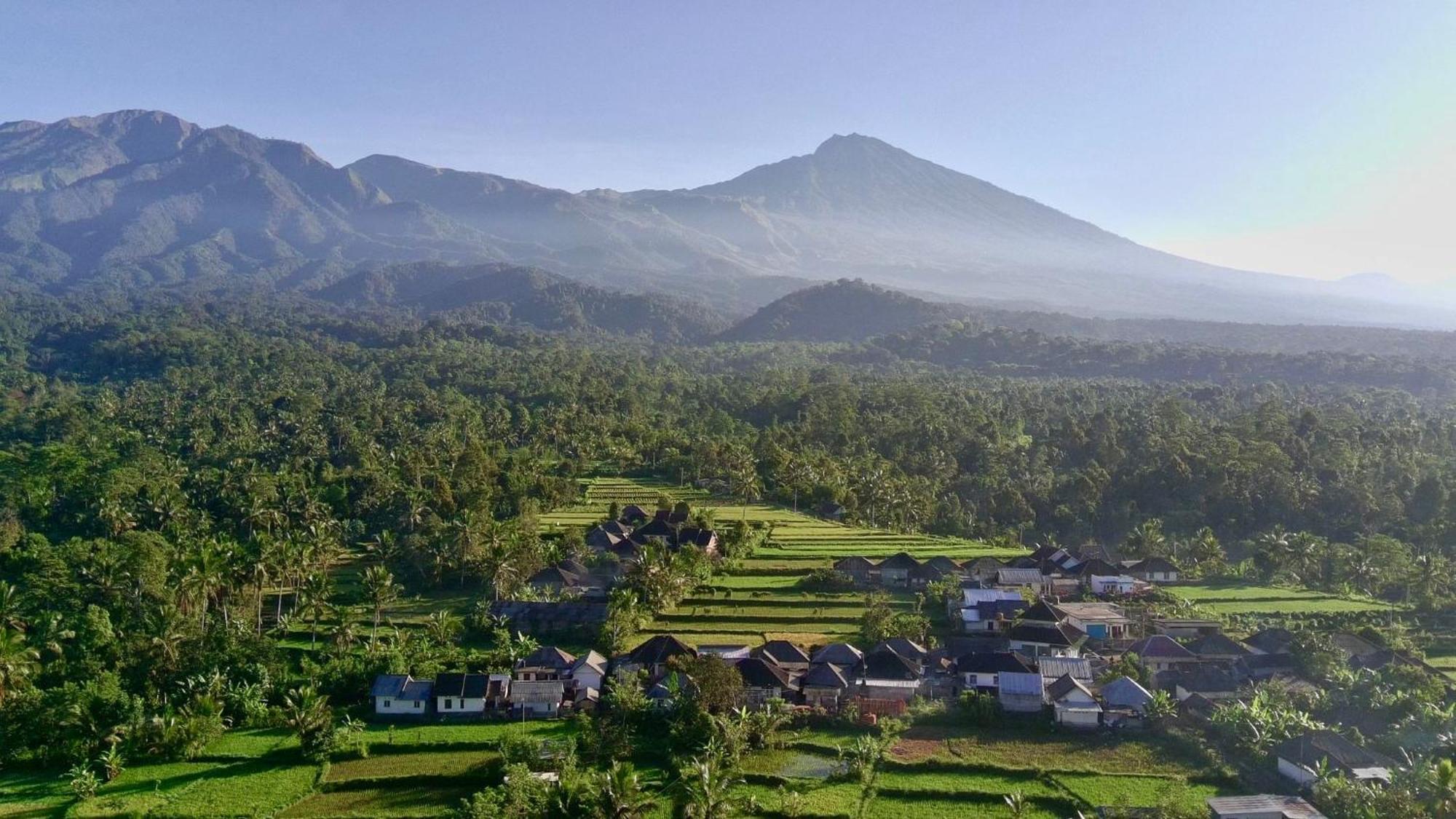 Raturinjani Homestay Selong ห้อง รูปภาพ