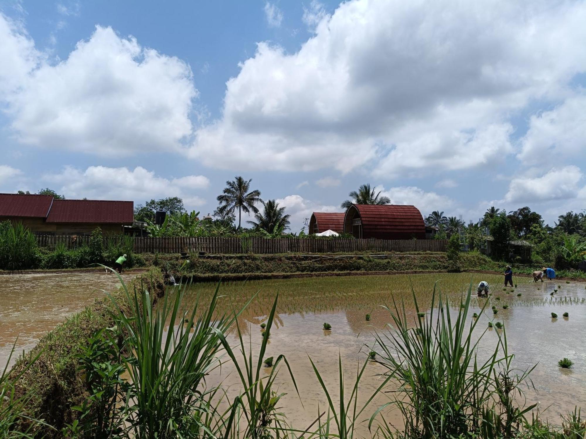 Raturinjani Homestay Selong ภายนอก รูปภาพ