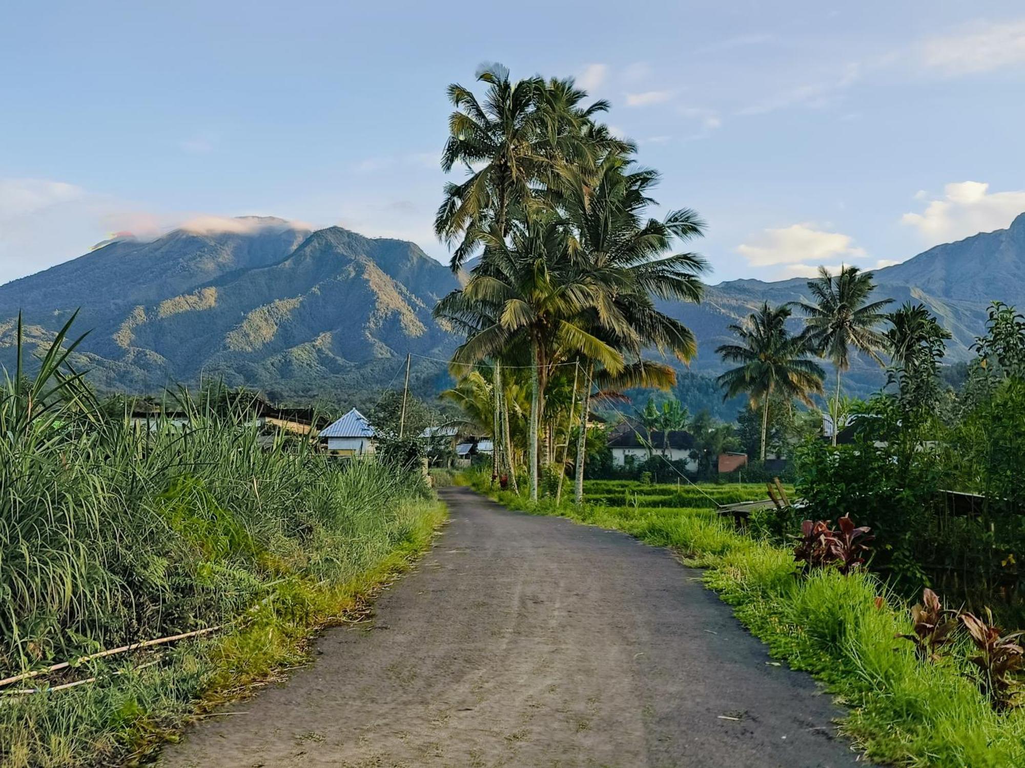 Raturinjani Homestay Selong ภายนอก รูปภาพ