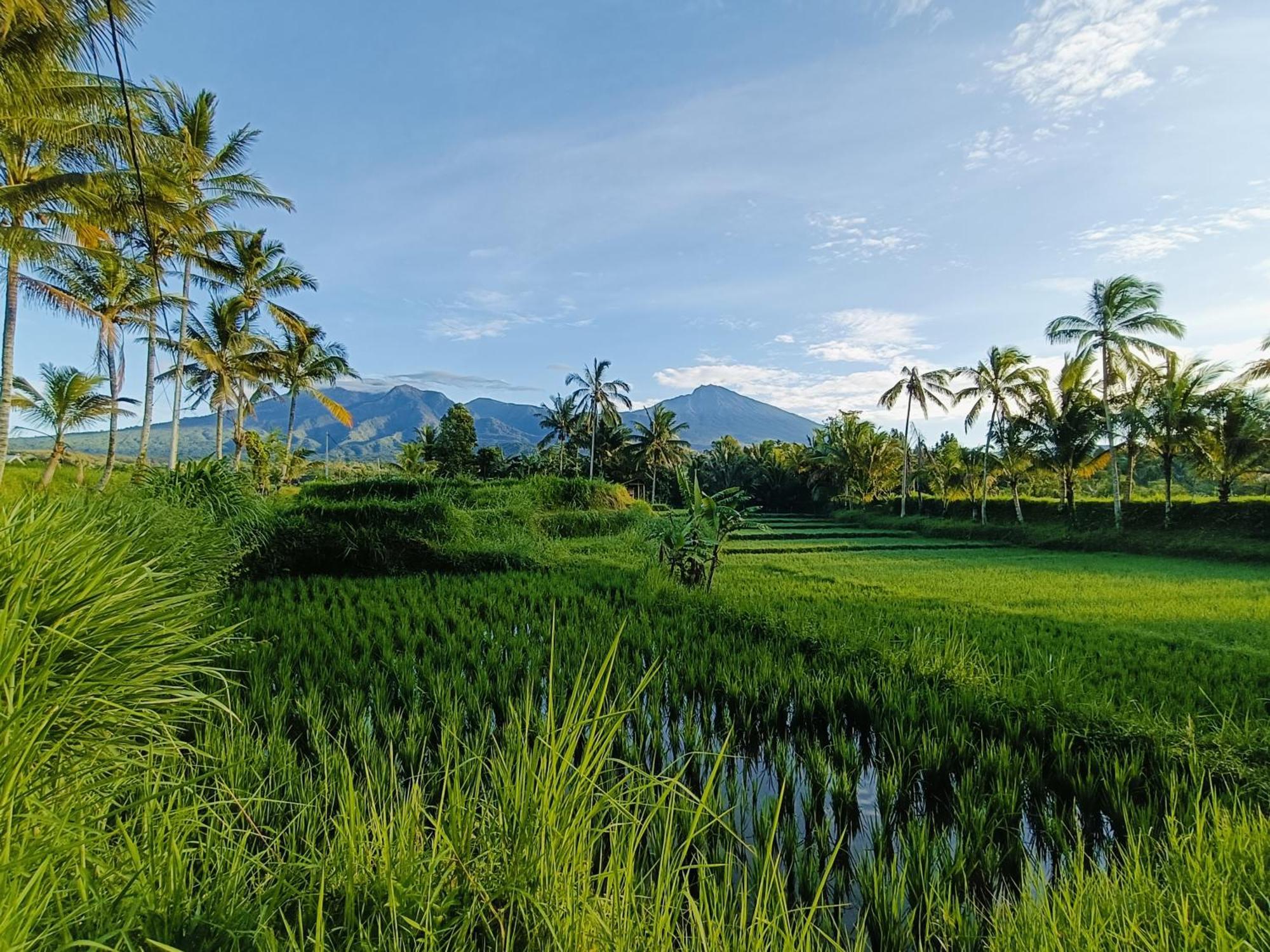 Raturinjani Homestay Selong ภายนอก รูปภาพ